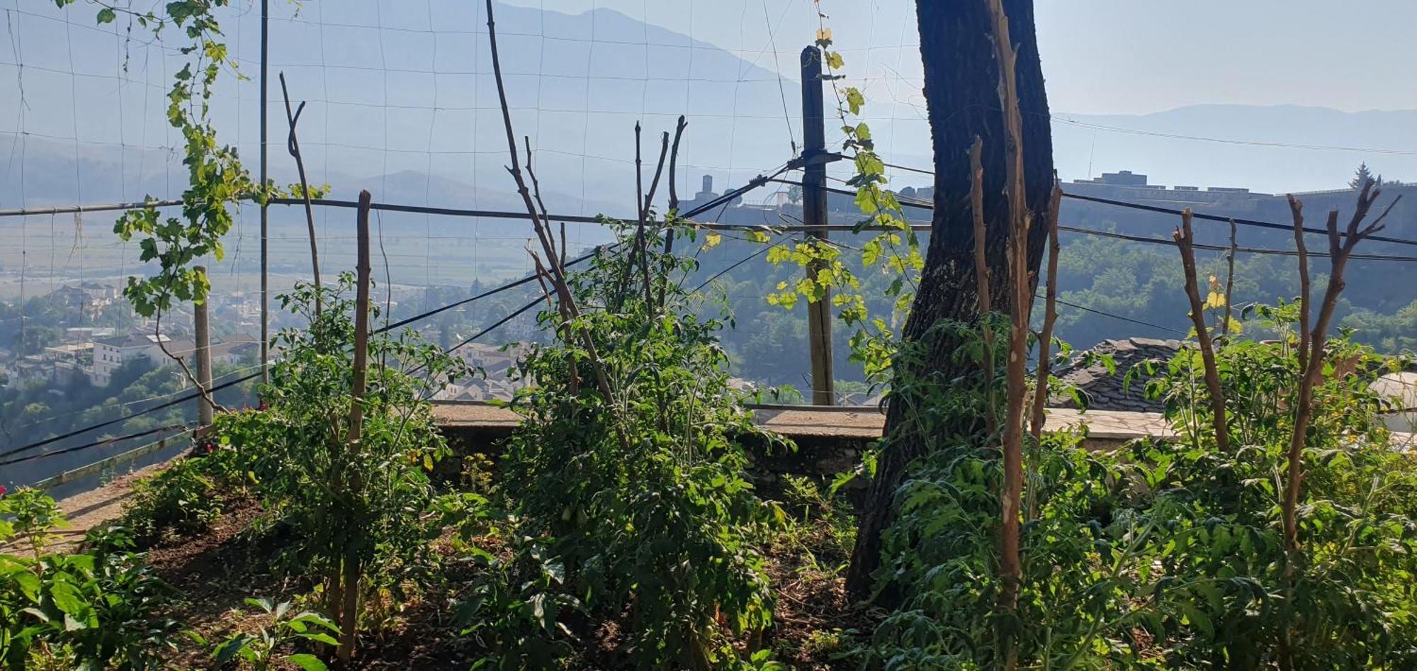Panoramic Vlachos Maison d'hôtes Gjirokastër